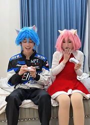 索尼克被冤枉