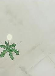 《哆啦A梦》蒲公英飞向天空下真的厉害，学校里的好朋友都在讨论