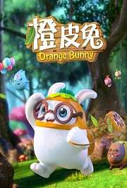 橙皮兔