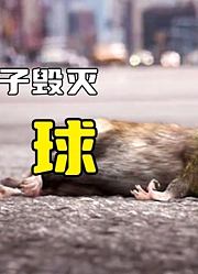 老鼠吃了颗发霉的果子，结果身体长出绿植，蔓延至整个地球