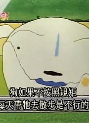 《蜡笔小新》小白的散步真辛苦里面的野原美伢与野原新之助太好看了，学校里的好朋友都在讨论