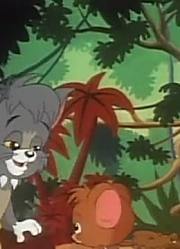 《小小猫和老鼠》小小猫和老鼠真的厉害，小区里的小伙伴都在讨论