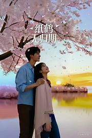 纸鹤无归期