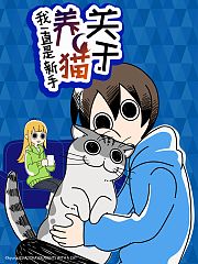 关于养猫我一直是新手