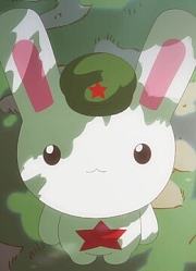 那年那兔那些事儿