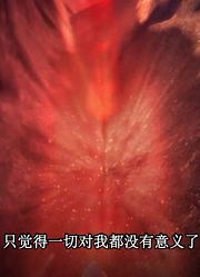 终于看完了《精灵梦叶罗丽》记忆深处，感觉打开了新天地