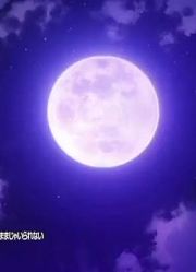 名侦探柯南夜光下的约会大作战