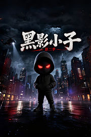 黑影小子第2季