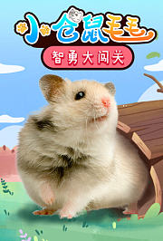 小仓鼠智勇大闯关