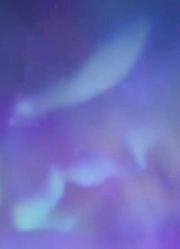 孩子这几天老看《精灵梦叶罗丽》相信植物朋友，游戏都不玩了
