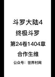 斗罗大陆4：终极斗罗第24卷1404章：合作升维
