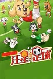 汪星撞足球