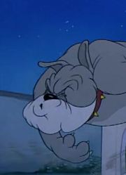 我觉得,浪漫小夜曲可能是《猫和老鼠》里最值得分享的了呢