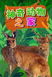 神奇动物之家
