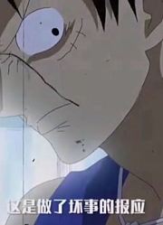海贼王：两年的时间大家都变强了，再也不要失去想要保护的人