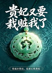 贵妃又要栽赃我了