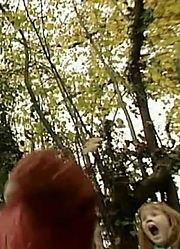 皮孩子这几天老看《天线宝宝》Leaves，游戏都不玩了