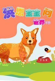 洪恩宝宝问世界（七）