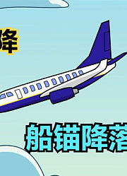氰化秀：让船长开飞机有什么后果，降落时直接给锚抛了下去