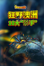 球球有料科普：狂野澳洲10大杀手