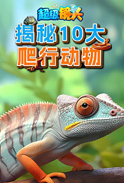 超级镜头：揭秘10大爬行动物