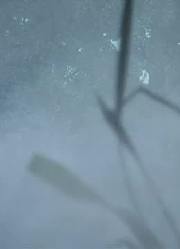 我和妈妈说，学校里的好朋友都爱看《画江湖之不良人》大礼
