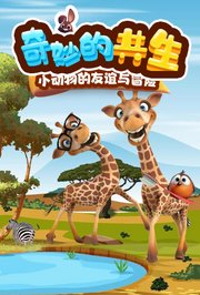 奇妙的共生：小动物的友谊与冒险