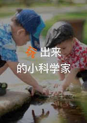 玩出来的小科学家，帮助3-6岁的小宝贝培养罗辑思维、想象力、语言表达