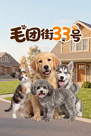 毛团街33号
