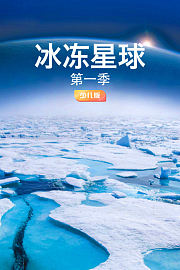 冰冻星球第1季