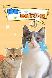 猫猫：我被玩坏啦！