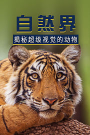 自然界：揭秘超级视觉的动物