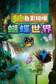 奇趣色彩斑斓蝴蝶世界