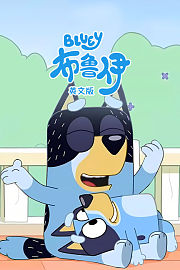 布鲁伊英文版