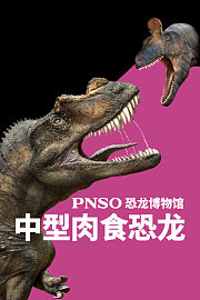PNSO恐龙博物馆-中型肉食恐龙