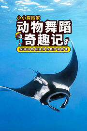 动物舞蹈奇趣记