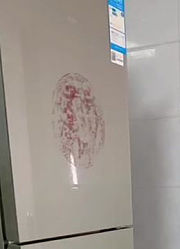 妈妈的小宝贝儿.的2026年合集
