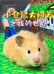 小仓鼠大闯关之我的世界