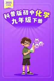 2025新改版科普版初中化学九年级下册