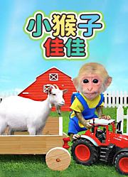 小猴子佳佳