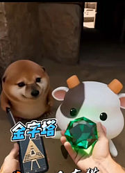 飞飞鱼吖.的2026年合集