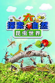 探索大自然-昆虫世界