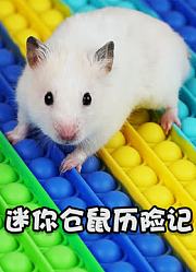 迷你仓鼠历险记