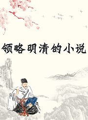 领略明清的小说