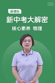 新课标新中考大解密核心素养物理