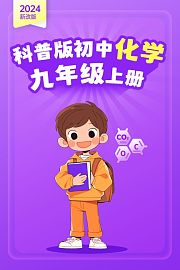 2024新改版科普版初中化学九年级上册