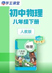 2025新改版人教版初中物理八年级下册