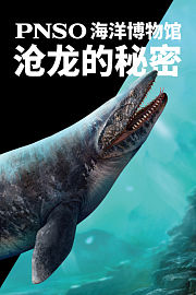 PNSO海洋博物馆沧龙的秘密