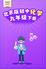 2025新改版北京版初中化学九年级下册