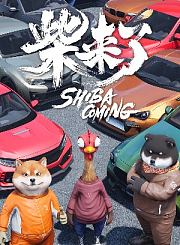 柴来了